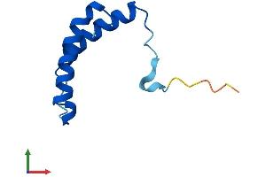 Protein Structure (PS) image for TP53 Regulated Inhibitor of Apoptosis 1 (TRIAP1) (AA 1-76) protein (Fc Tag) (ABIN7561147)