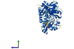 Protein Structure (PS) image for Glycerol Kinase 2 (GK2) (AA 1-553) protein (His tag) (ABIN7547981)