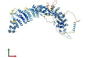 AlphaFold protein structure predicition of Human Recombinant TTI1 Protein, UniprotID O43156
