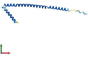 Protein Structure (PS) image for MEF2B Neighbor (MEF2BNB) (AA 1-119) protein (His tag) (ABIN7549368)