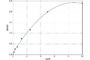 Poly (ADP-Ribose) Polymerase Family, Member 4 (PARP4) ELISA Kit