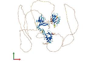 AlphaFold protein structure predicition of Human Recombinant DVL3 Protein, UniprotID Q92997