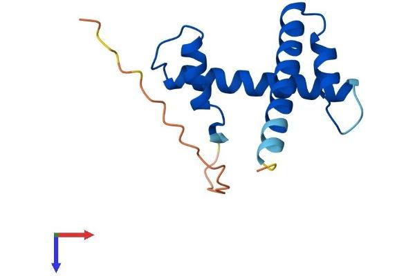 TAF13 Protein (AA 1-124) (His tag)