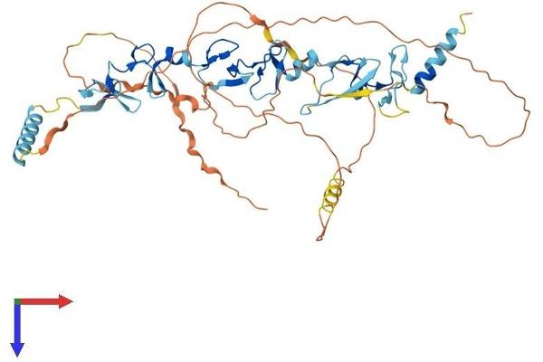 TRIP6 Protein (AA 1-476) (His tag)