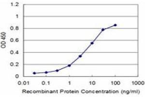 Detection limit for recombinant GST tagged ACAA2 is approximately 0. (ACAA2 抗体  (AA 151-260))