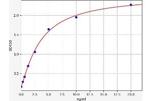 Typical standard curve (ATP2A3 ELISA 试剂盒)