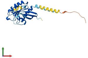Protein Structure (PS) image for RAB15, Member RAS Onocogene Family (RAB15) (AA 1-212) protein (His tag) (ABIN7559539)