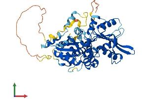 Protein Structure (PS) image for Nuclear Prelamin A Recognition Factor (NARF) (AA 1-456) protein (His tag) (ABIN7549635)