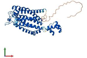 Protein Structure (PS) image for Ceramide Synthase 6 (CERS6) (AA 1-384) protein (His tag) (ABIN7559101)