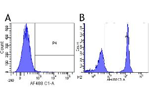 Flow-cytometry using anti-CD4 antibody 13B8. (Recombinant CD4 抗体)