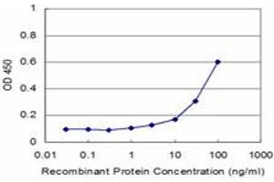 Detection limit for recombinant GST tagged PCBP2 is approximately 3ng/ml as a capture antibody. (PCBP2 抗体  (AA 1-362))
