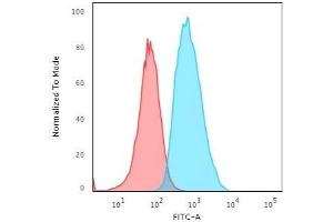 Flow Cytometric Analysis of T98G cells using S100A4 Mouse Monoclonal Antibody (S100A4/1481) followed by goat anti-Mouse IgG-CF488 (Blue); Isotype Control (Red).