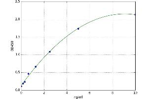 A typical standard curve (OPLAH ELISA 试剂盒)