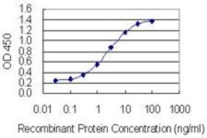 Detection limit for recombinant GST tagged NEU1 is 0. (NEU1 抗体  (AA 334-415))