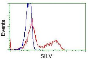 HEK293T cells transfected with either pCMV6-ENTRY SILV (RC200663) (Red) or empty vector control plasmid (Blue) were immunostained with anti-SILV mouse monoclonal (ABIN2452229, Dilution 1:1,000), and then analyzed by flow cytometry. (Melanoma gp100 抗体)