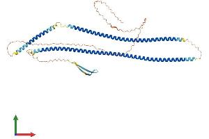 Protein Structure (PS) image for Keratin 24 (KRT24) (AA 1-512) protein (His tag) (ABIN7561856)