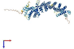 Protein Structure (PS) image for TELO2 Interacting Protein 2 (TTI2) (AA 1-512) protein (His tag) (ABIN7558585)