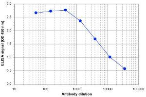 ELISA of anti-Jarid1c antibody ELISA results of Rabbit anti-Jarid1c antibody. (KDM5C 抗体)