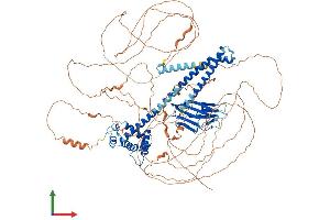AlphaFold protein structure predicition of Mouse Recombinant Caprin2 Protein, UniprotID Q05A80 (CAPRIN2 Protein (AA 1-1031) (His tag))
