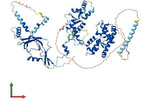 Protein Structure (PS) image for Polymerase (RNA) III (DNA Directed) Polypeptide E (80kD) (POLR3E) (AA 1-710) protein (His tag) (ABIN7564965)