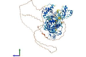 Protein Structure (PS) image for Scm-Like with Four Mbt Domains 1 (SFMBT1) (AA 1-863) protein (His tag) (ABIN7565123)