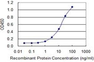 Detection limit for recombinant GST tagged ZNF187 is 0. (ZNF187 抗体  (AA 1-325))