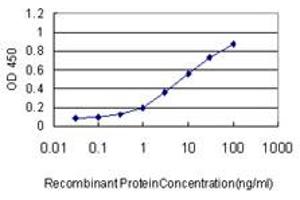 Detection limit for recombinant GST tagged KIF2C is approximately 0. (KIF2C 抗体  (AA 1-100))