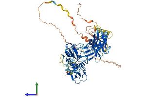 Protein Structure (PS) image for E3 Ubiquitin-protein ligase DTX1 (DTX1) (AA 1-627) protein (His tag) (ABIN7563895)