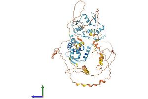 Protein Structure (PS) image for Zinc Finger and BTB Domain Containing 7C (ZBTB7C) (AA 1-619) protein (His tag) (ABIN7545245)