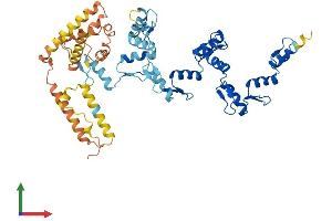 Protein Structure (PS) image for Zinc Finger Protein 596 (ZNF596) (AA 1-504) protein (His tag) (ABIN7545753)