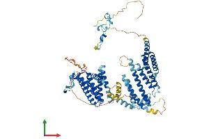 Protein Structure (PS) image for Signal Recognition Particle 68kDa (SRP68) (AA 1-627) protein (His tag) (ABIN7546463)