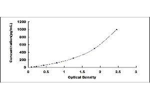 Typical standard curve (FBLN3 ELISA 试剂盒)