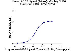 Immobilized Human 4-1BB at 1 μg/mL (100 μL/well) on the plate.