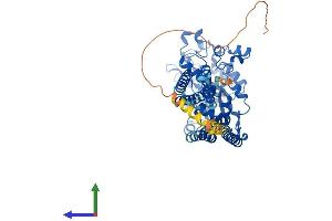 Protein Structure (PS) image for Glycerophosphodiester Phosphodiesterase Domain Containing 5 (GDPD5) (AA 1-605) protein (His tag) (ABIN7553993)