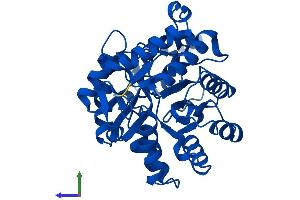Protein Structure (PS) image for Phosphotriesterase Related (PTER) (AA 1-349) protein (His tag) (ABIN7557630)