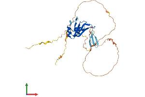 Protein Structure (PS) image for Bol, Boule-Like (BOLL) (AA 1-283) protein (His tag) (ABIN7552640)