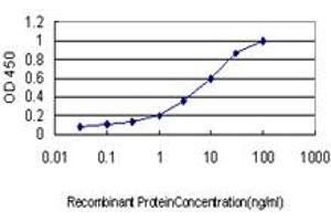 Detection limit for recombinant GST tagged EXT2 is approximately 0. (EXT2 抗体  (AA 216-315))