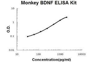 Monkey Primate BDNF PicoKine ELISA Kit standard curve