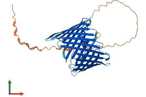 Protein Structure (PS) image for Translocase of Outer Mitochondrial Membrane 40 Homolog (TOMM40) (AA 1-361) protein (His tag) (ABIN7544615)