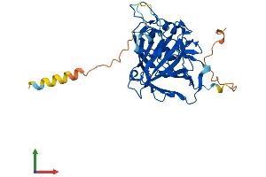 Protein Structure (PS) image for Carbonic Anhydrase X (CA10) (AA 1-328) protein (His tag) (ABIN7556575)