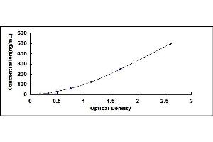 Typical standard curve (Vimentin ELISA 试剂盒)