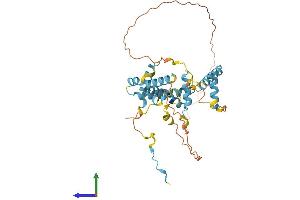 Protein Structure (PS) image for Small Nuclear RNA Activating Complex, Polypeptide 2, 45kDa (SNAPC2) (AA 1-359) protein (His tag) (ABIN7560080)