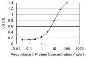 Detection limit for recombinant GST tagged ZNF23 is 0. (ZNF23 抗体  (AA 41-139))