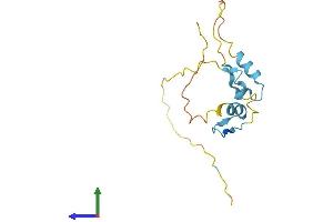 AlphaFold protein structure predicition of Mouse Recombinant Atxn7l1 Protein, UniprotID Q9CZ05 (ATXN7L1 Protein (AA 1-146) (His tag))