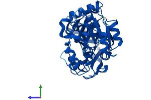 Protein Structure (PS) image for Prostaglandin Reductase 2 (PTGR2) (AA 1-351) protein (His tag) (ABIN7559865)
