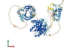 Protein Structure (PS) image for Methyltransferase Like 19 (METTL19) (AA 1-713) protein (His tag) (ABIN7560922)