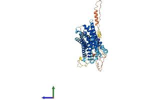 Protein Structure (PS) image for Solute Carrier Family 41, Member 2 (SLC41A2) (AA 1-573) protein (His tag) (ABIN7559022)