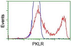 HEK293T cells transfected with either RC206455 overexpress plasmid (Red) or empty vector control plasmid (Blue) were immunostained by anti-PKLR antibody (ABIN2453475), and then analyzed by flow cytometry. (PKLR 抗体)
