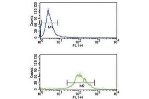 TAT antibody flow cytometry analysis of K562 cells (green) compared to a negative control (blue). (Tat (AA 279-306) 抗体)