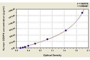 Typical standard curve (CENPK ELISA 试剂盒)